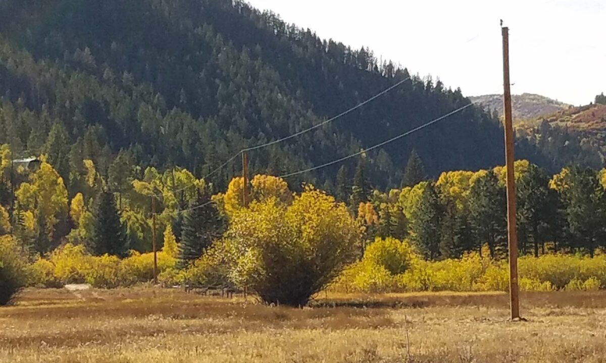 Diamond Bar X Woodland Catoline Construction